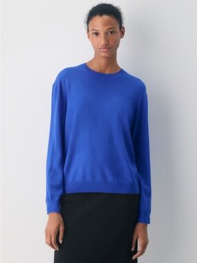 Aritzia Bare Merino Wool Crew Sweater